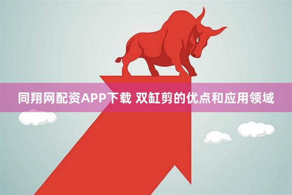 同翔网配资APP下载 双缸剪的优点和应用领域