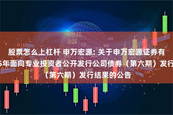 股票怎么上杠杆 申万宏源: 关于申万宏源证券有限公司2025年面向专业投资者公开发行公司债券（第六期）发行结果的公告